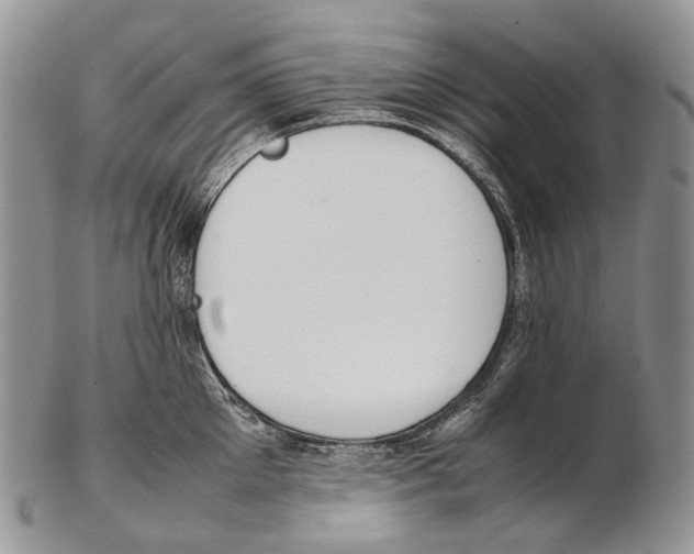 X0000102270905200808221435