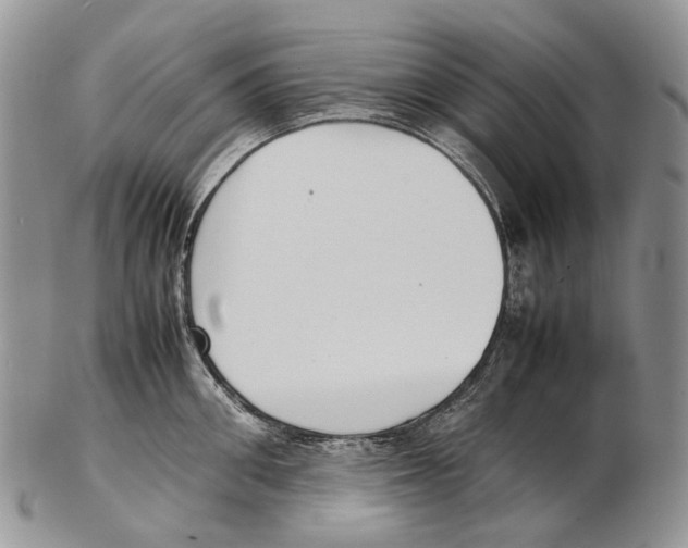 X0000102270906200808221435