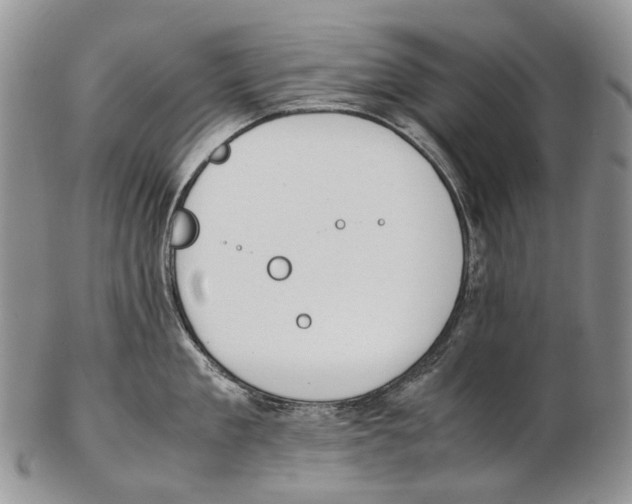 X0000102270909200808221435
