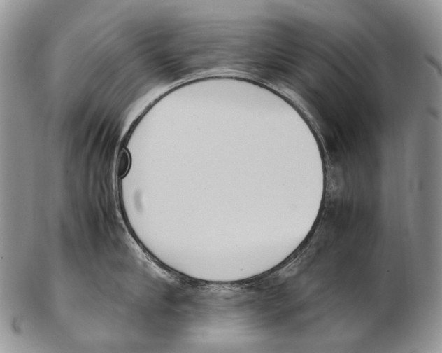 X0000102270910200808221435
