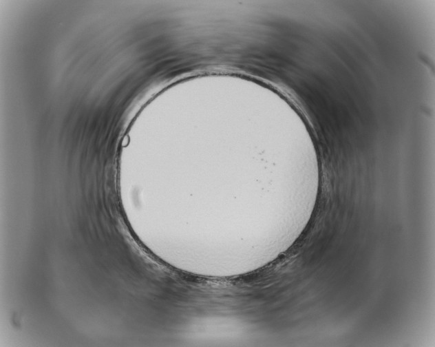 X0000102270911200808221435