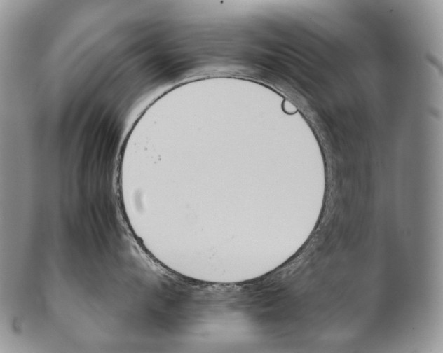 X0000102270912200808221435