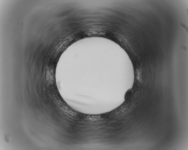 X0000102270915200808221434