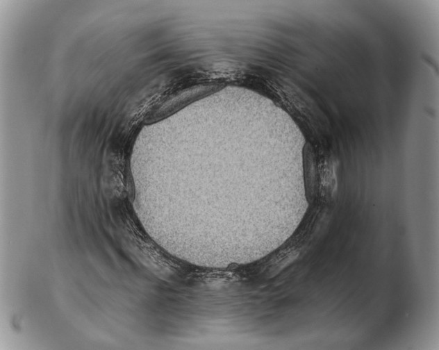 X0000102270916200808221434
