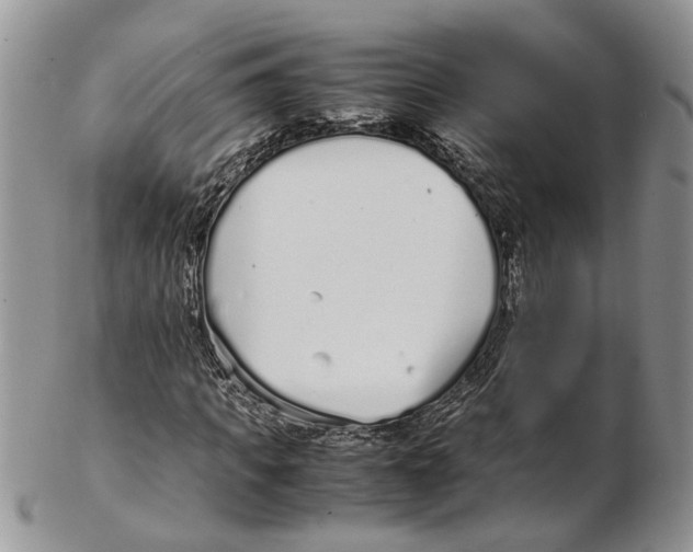 X0000102270917200808221434