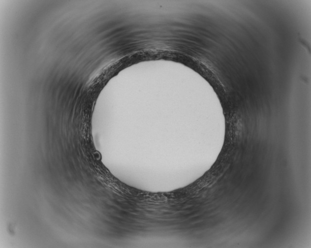 X0000102270919200808221434