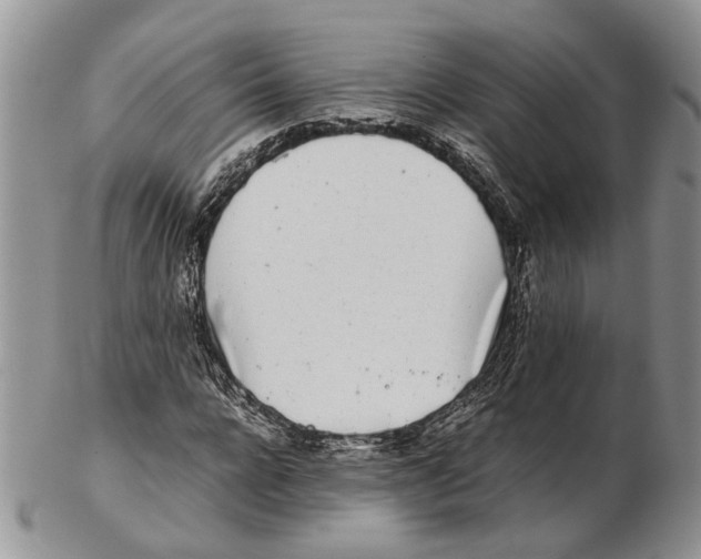 X0000102270920200808221434