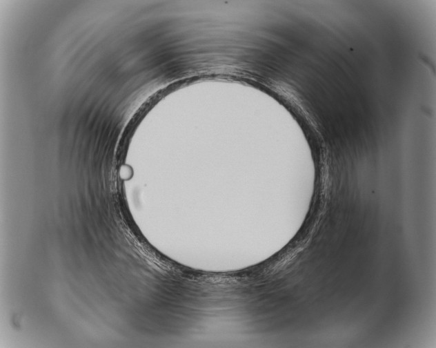 X0000102270924200808221434