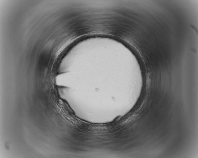 X0000102270925200808221434