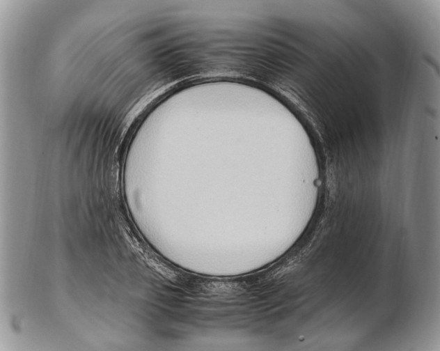 X0000102270933200808221434
