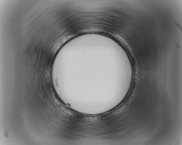 X0000102270937200808221434