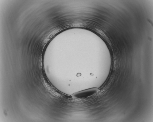 X0000102270938200808221434