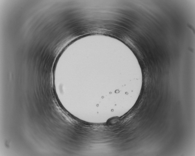 X0000102270940200808221434