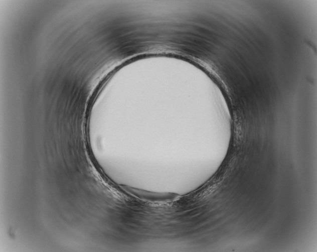 X0000102270943200808221434