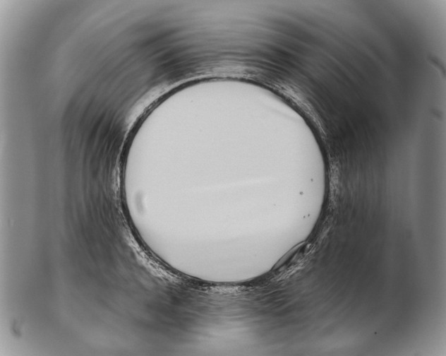X0000102270944200808221434