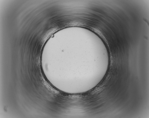 X0000102270946200808221434