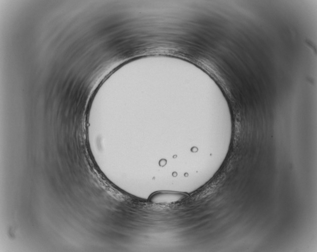 X0000102270948200808221434