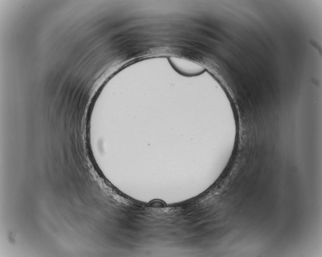 X0000102270949200808221434