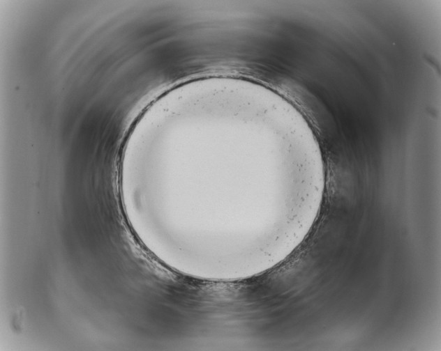X0000102270950200808221434