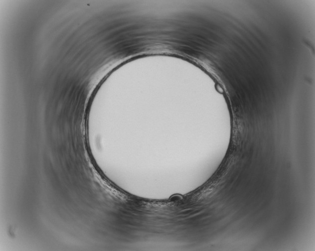 X0000102270951200808221435