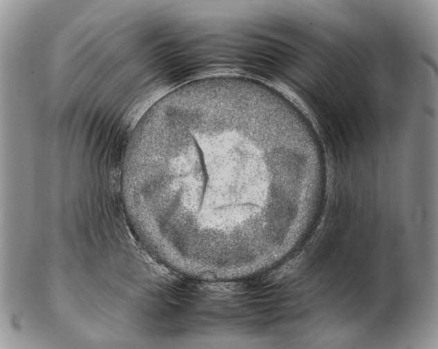 X0000102270953200808221435
