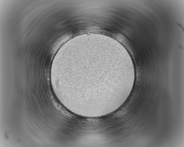 X0000102270954200808221435
