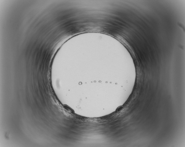 X0000102270956200808221435