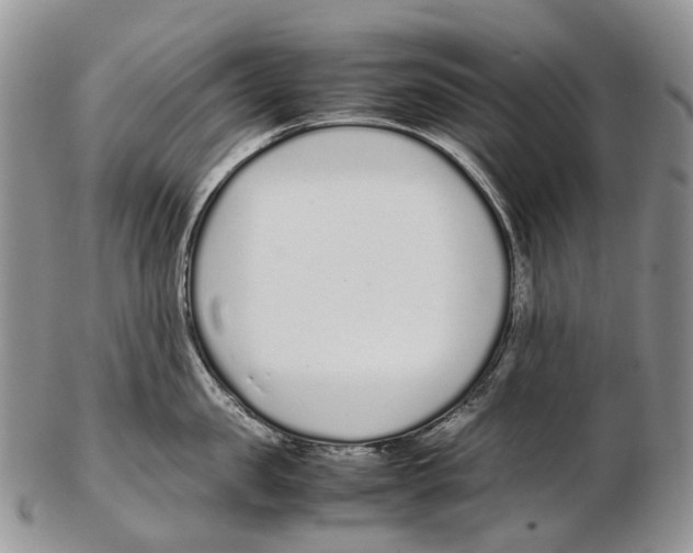 X0000102270957200808221435