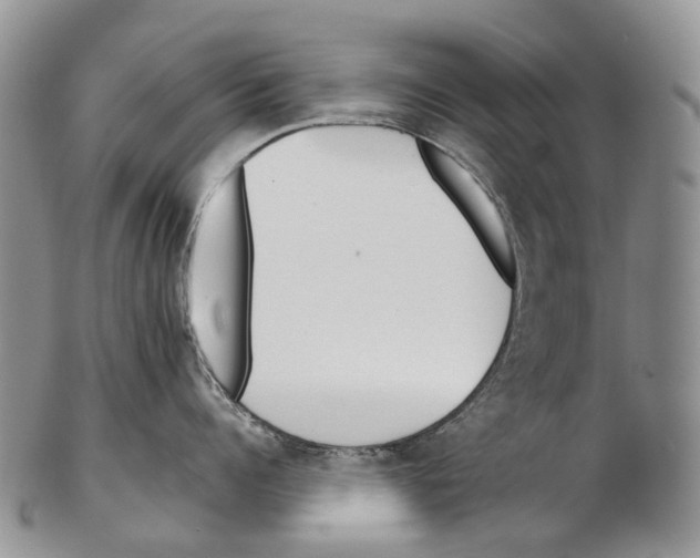 X0000102270960200808221435