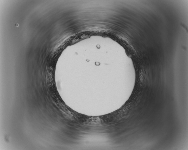 X0000102270968200808221434