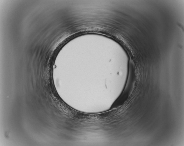 X0000102270975200808221434