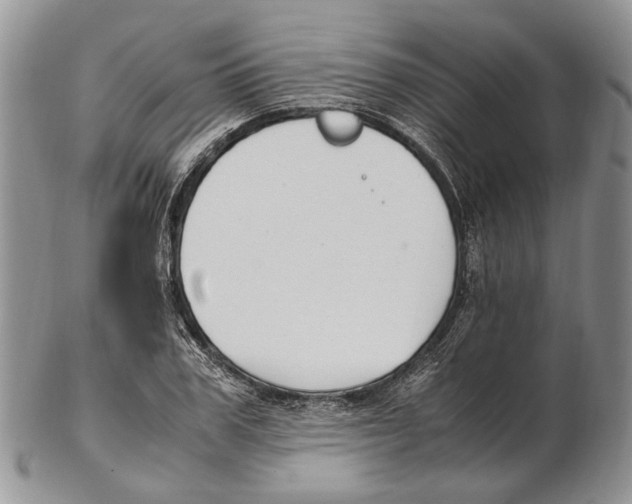 X0000102270979200808221434