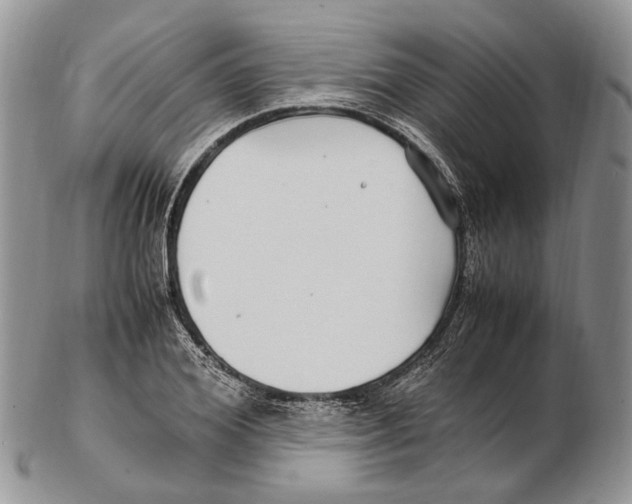 X0000102270980200808221434