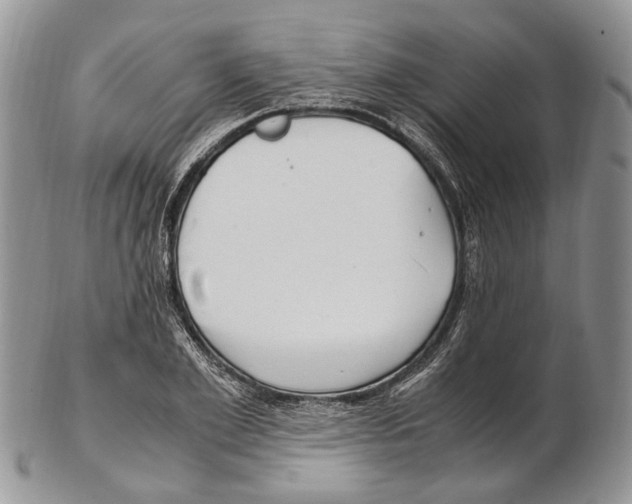 X0000102270981200808221434
