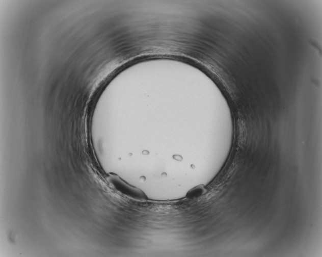 X0000102270982200808221434