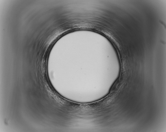 X0000102270983200808221434