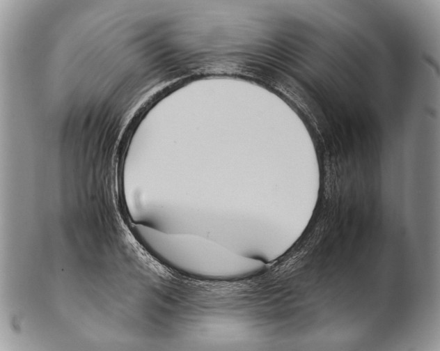 X0000102270984200808221434
