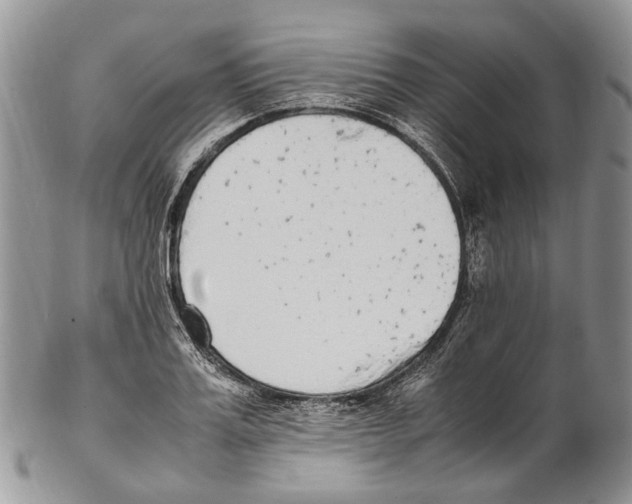 X0000102270987200808221434