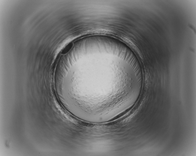 X0000102270989200808221434