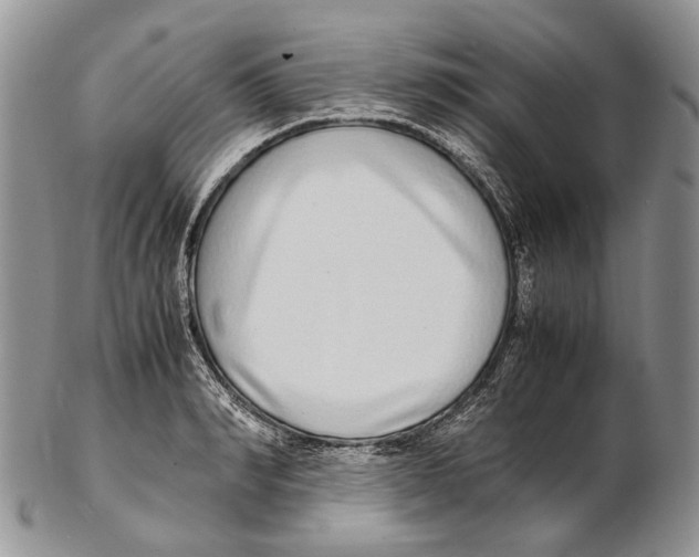 X0000102270990200808221434