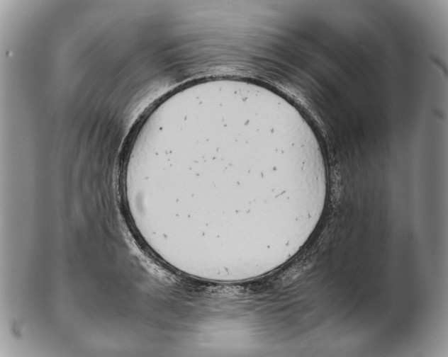X0000102270991200808221434