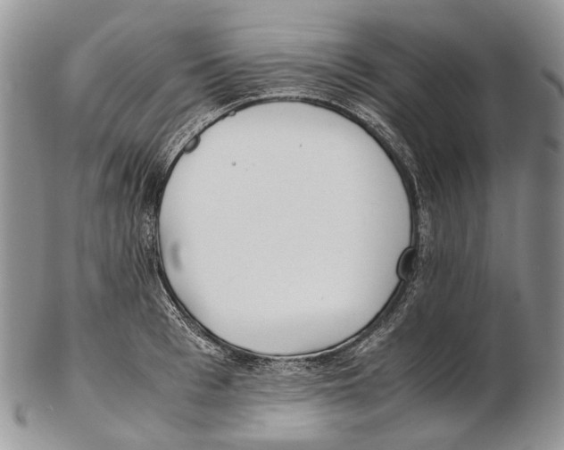 X0000102270993200808221434