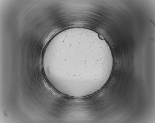 X0000102270994200808221434