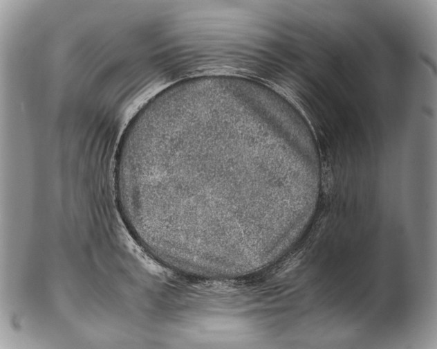 X0000102270995200808221434