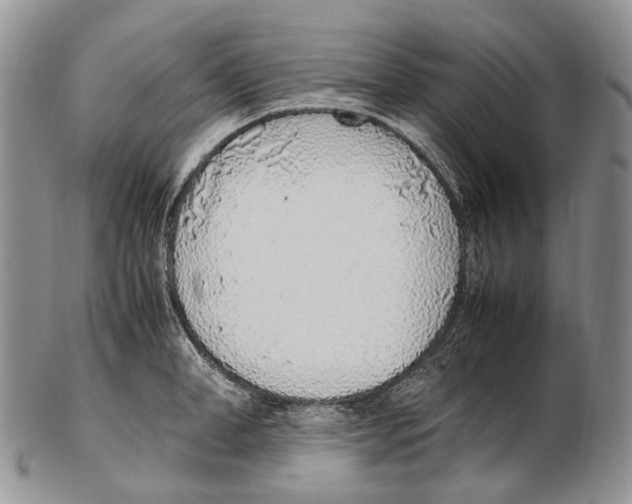 X0000102270998200808221433