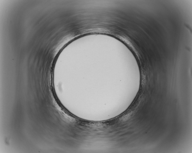 X0000102270999200808221433
