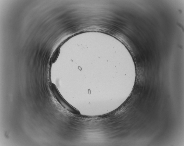 X0000102271000200808221433