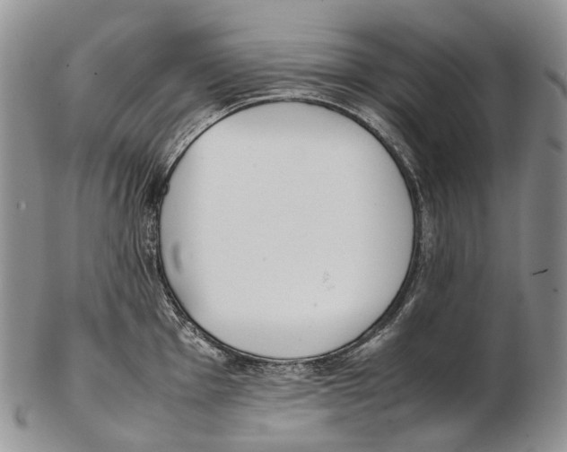 X0000102271001200808221433