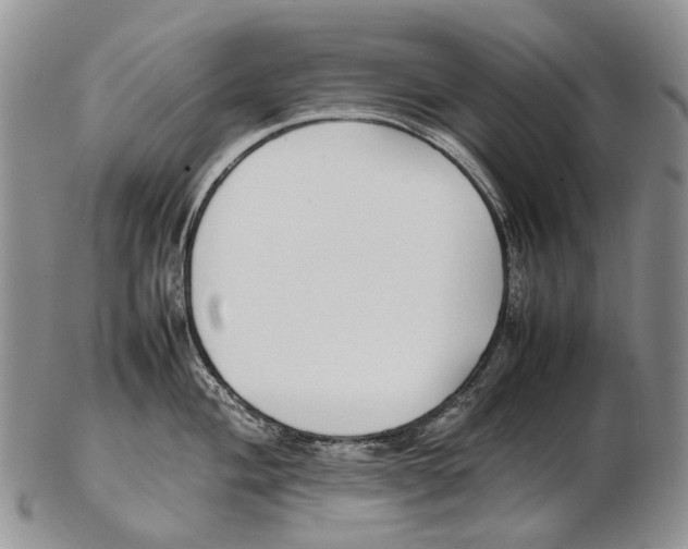 X0000102271004200808221433
