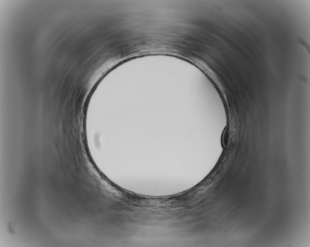 X0000102271005200808221433